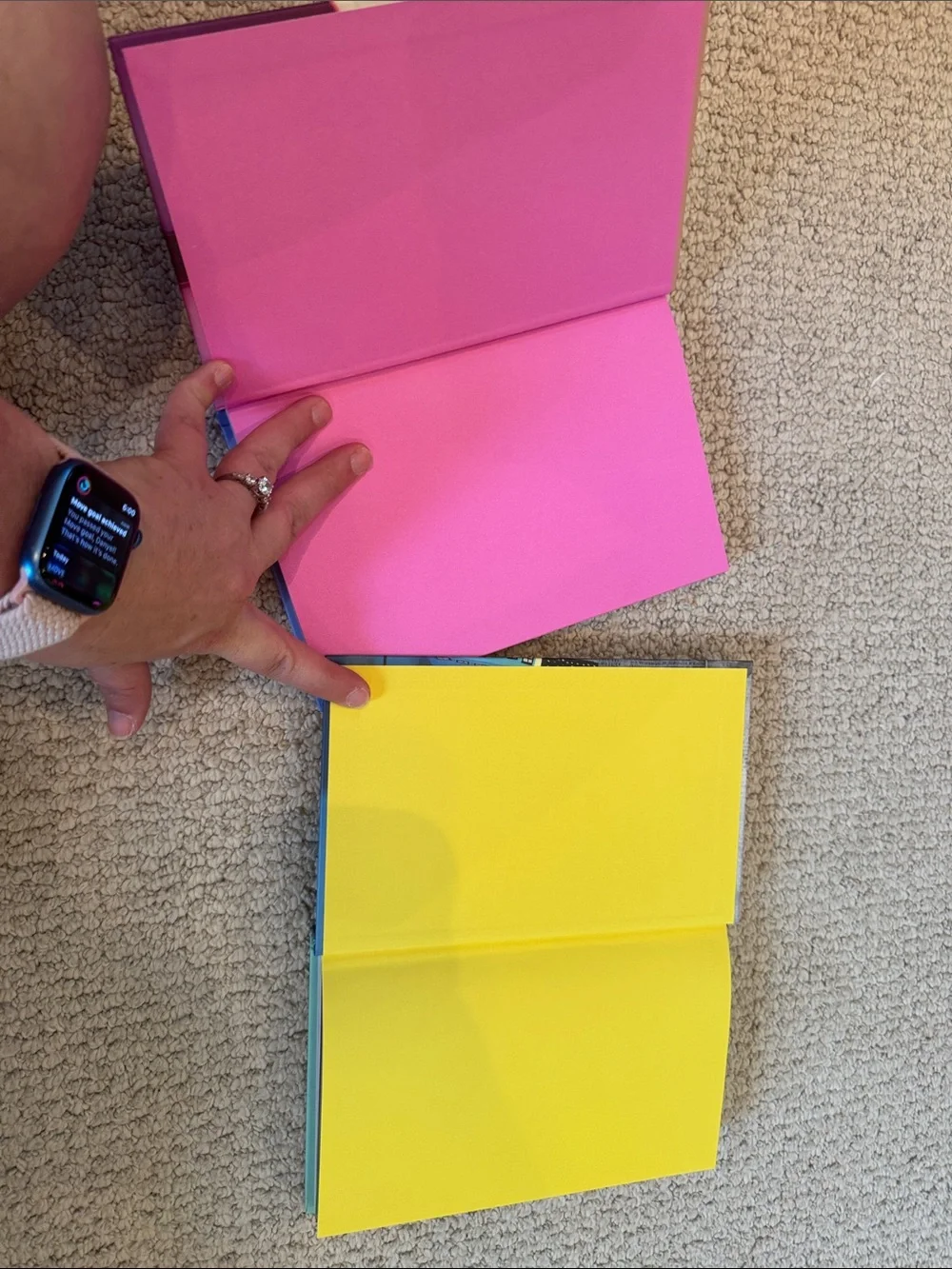 Scholastic two cat